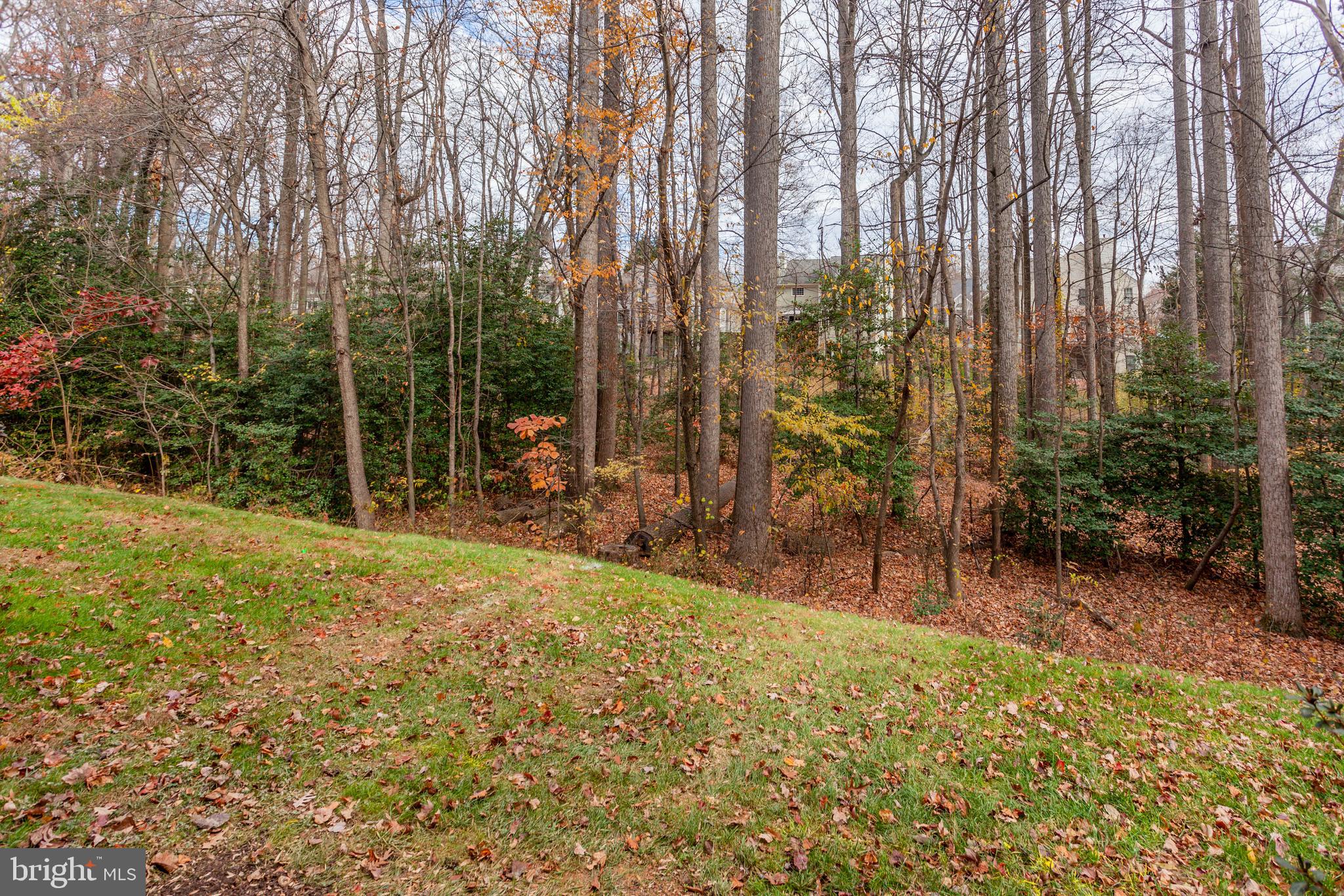 1259 Wild Hawthorn Way Reston, VA 20194 - Photo 38 of 39 Gallery Image 38