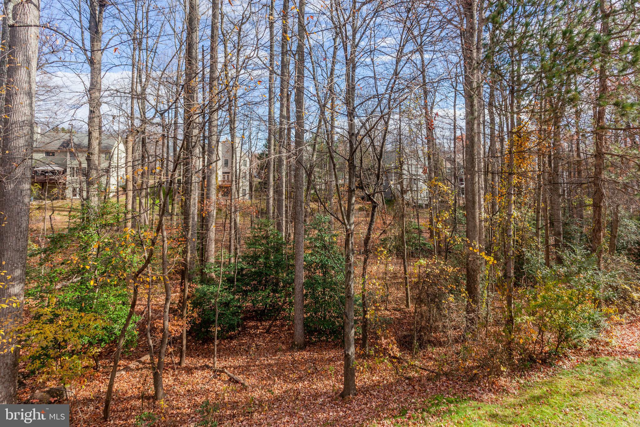 1259 Wild Hawthorn Way Reston, VA 20194 - Photo 39 of 39 Gallery Image 39