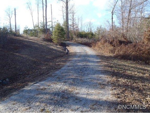 1585 Gilmer Edwards Road Rutherfordton, NC 28139 - Photo 8 of 23 a view of outdoor space with trees