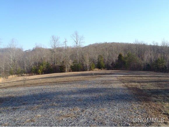 1585 Gilmer Edwards Road Rutherfordton, NC 28139 - Photo 9 of 23 a view of a backyard