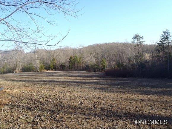 1585 Gilmer Edwards Road Rutherfordton, NC 28139 - Photo 10 of 23 a view of a yard