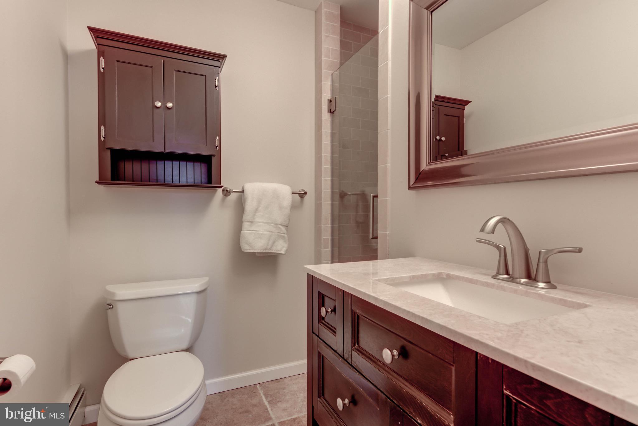 362 Old State Road Berwyn, PA 19312 - Photo 27 of 45 Princess bath