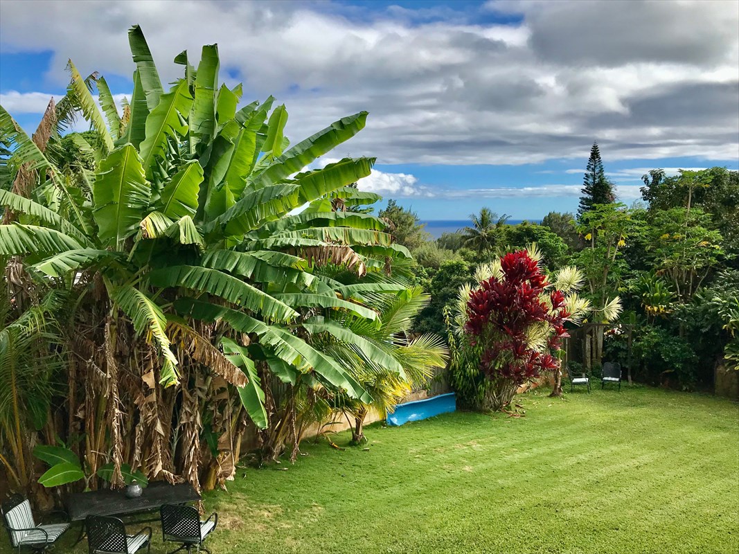 4014 Aka Road Koloa, HI 96756 - Photo 3 of 27 Gallery Image 3