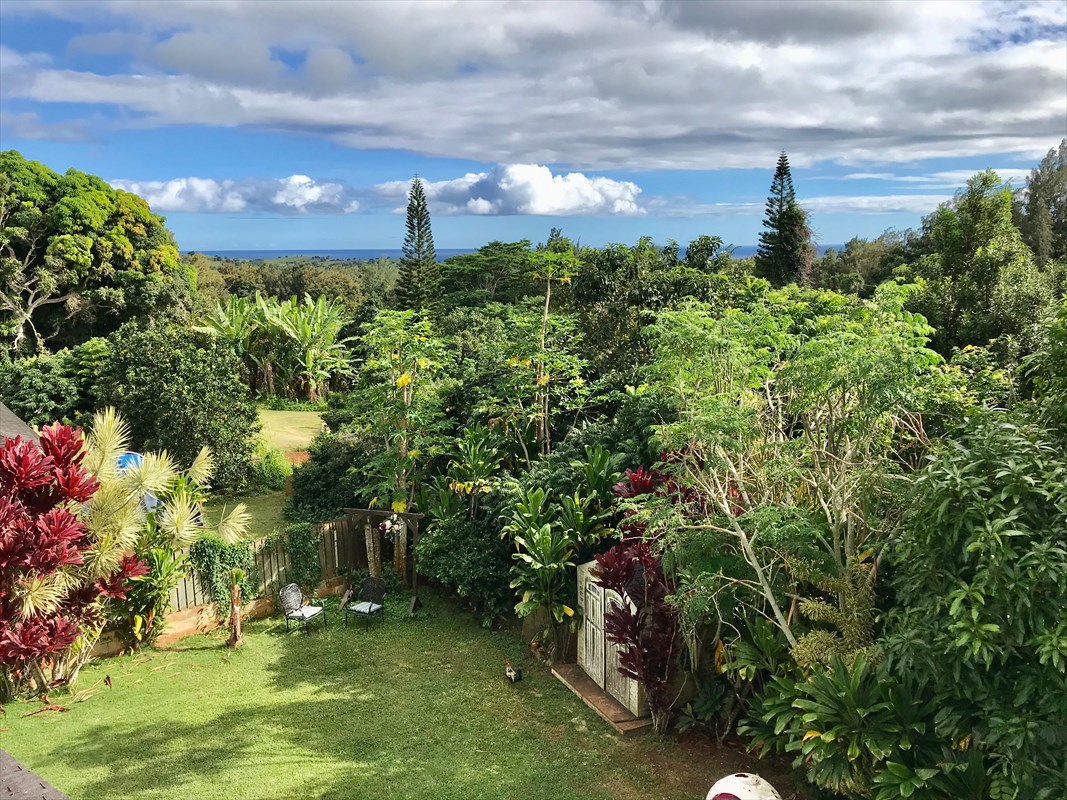 4014 Aka Road Koloa, HI 96756 - Photo 6 of 27 Gallery Image 6