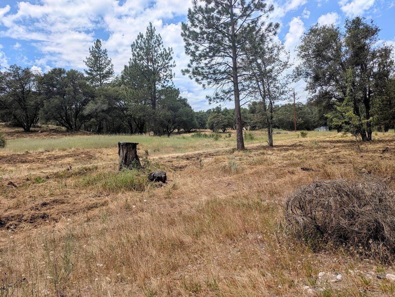 12998 Tyler Foote Road Nevada City, CA 95959 - Photo 5 of 33