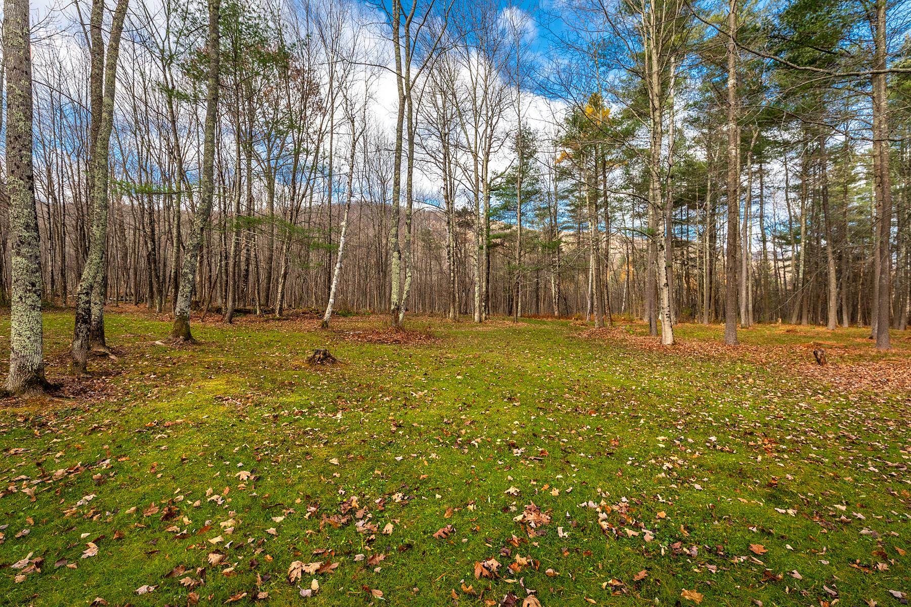 3013 Tinmouth Road Danby, VT 05739 - Photo 29 of 35 Gallery Image 29