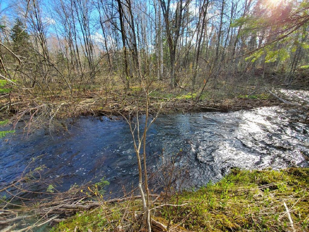 Lot 6 Estabrook Road Amity, ME 04471 - Photo 8 of 23 0061F556-650B-45F2-8349-EB6E2C0A033C