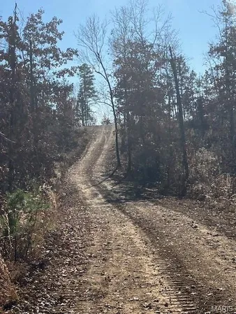 $30,995 | 54 Madison Cr, Fredericktown, MO 63645