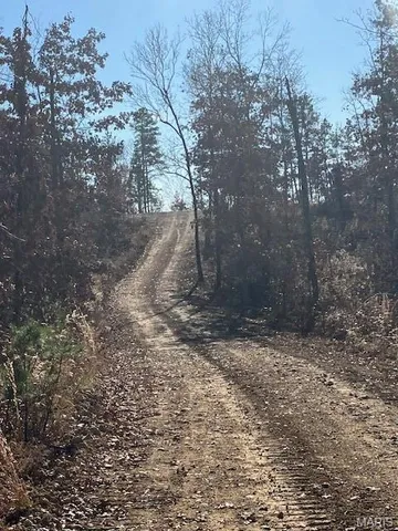 $30,995 | 54 Madison Cr, Fredericktown, MO 63645