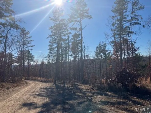 $30,995 | 54 Madison Cr, Fredericktown, MO 63645