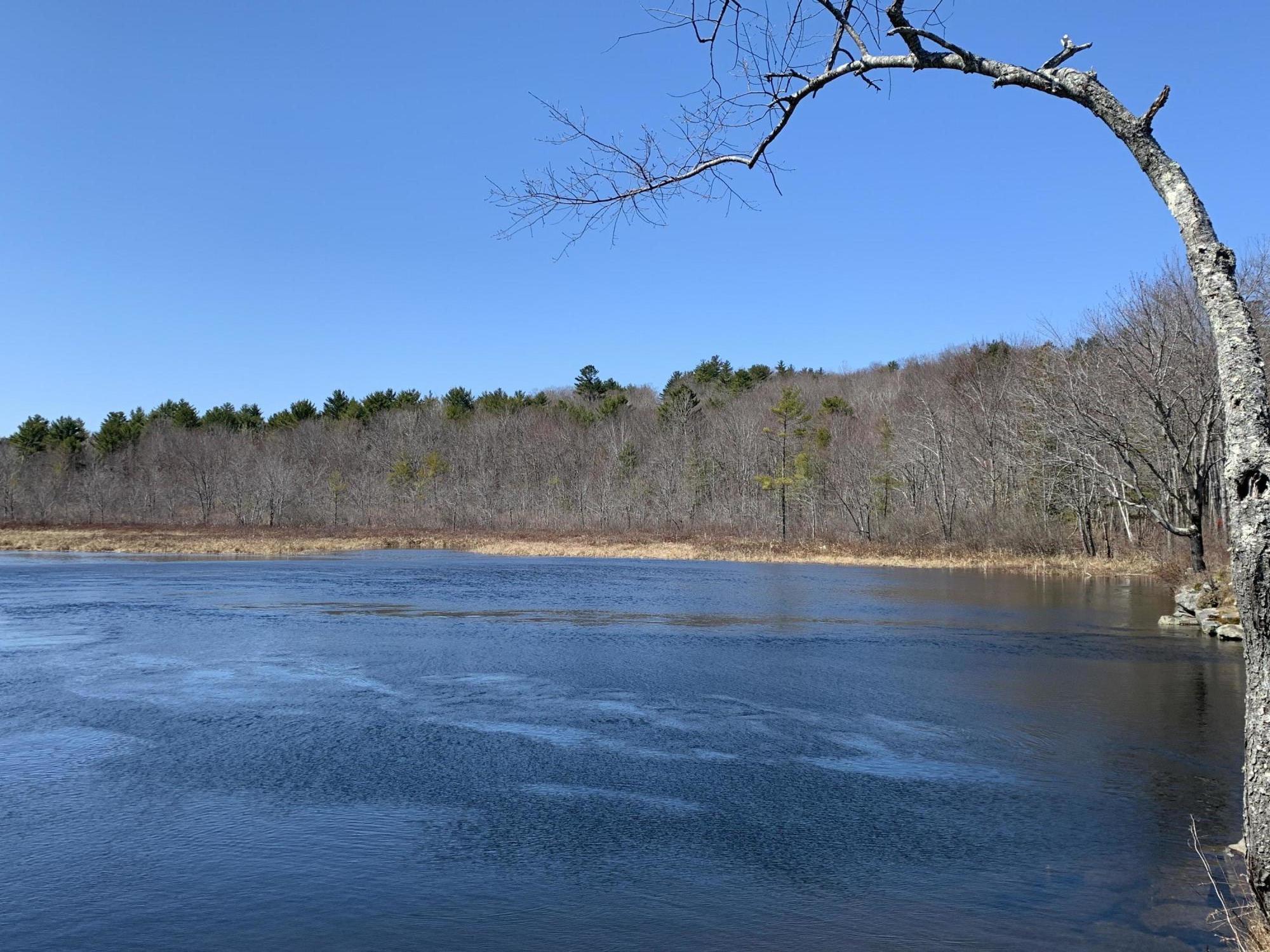 193 Spring Hill Road Mount Vernon, ME 04352 - Photo 31 of 33 Belgrade Stream