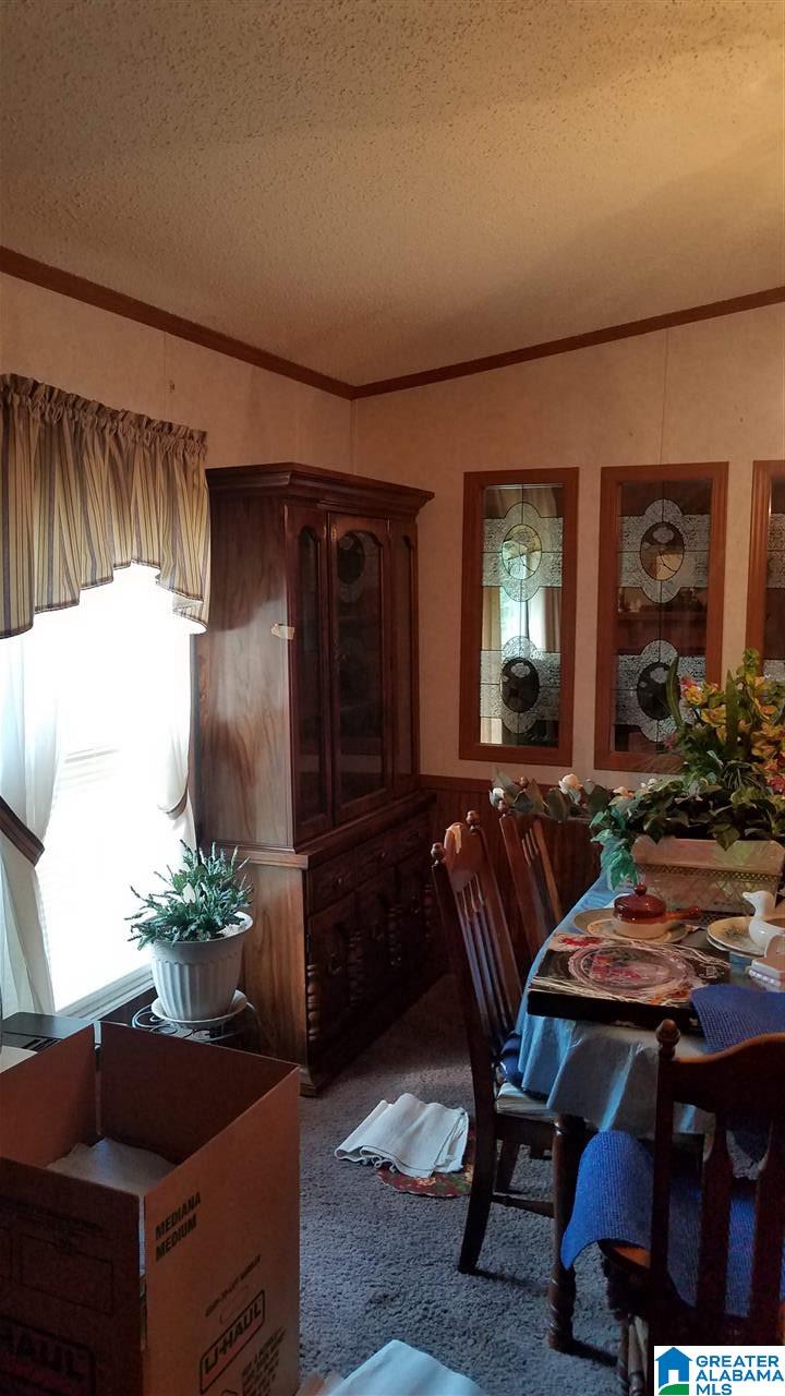 127 Young Road Remlap, AL 35133 - Photo 11 of 25