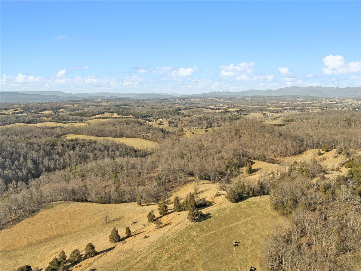 360 Maple Ridge Lane Fincastle, VA 24090 - Photo 53 of 77 53-360 Maple Ridge Ln_53