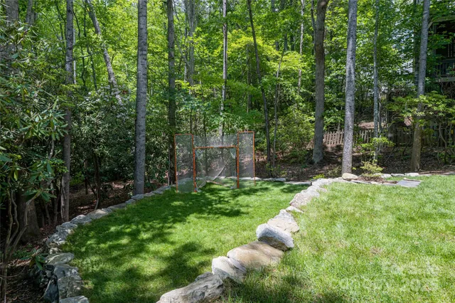a view of a backyard with large trees and plants