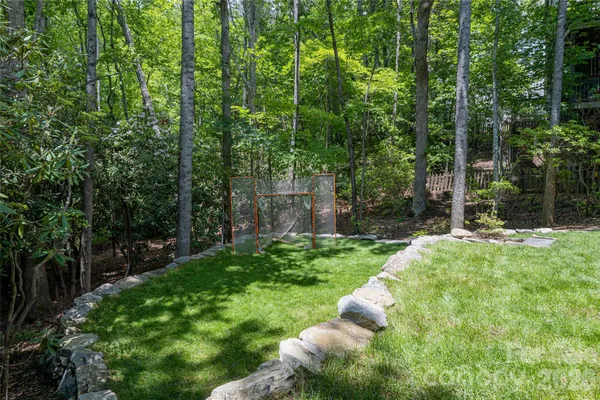 a view of a backyard with large trees and plants