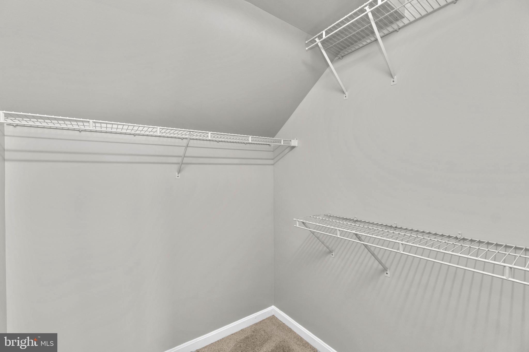 4505 Rusty Gate Ellicott City, MD 21043 - Photo 26 of 50 Left Side Walk-In