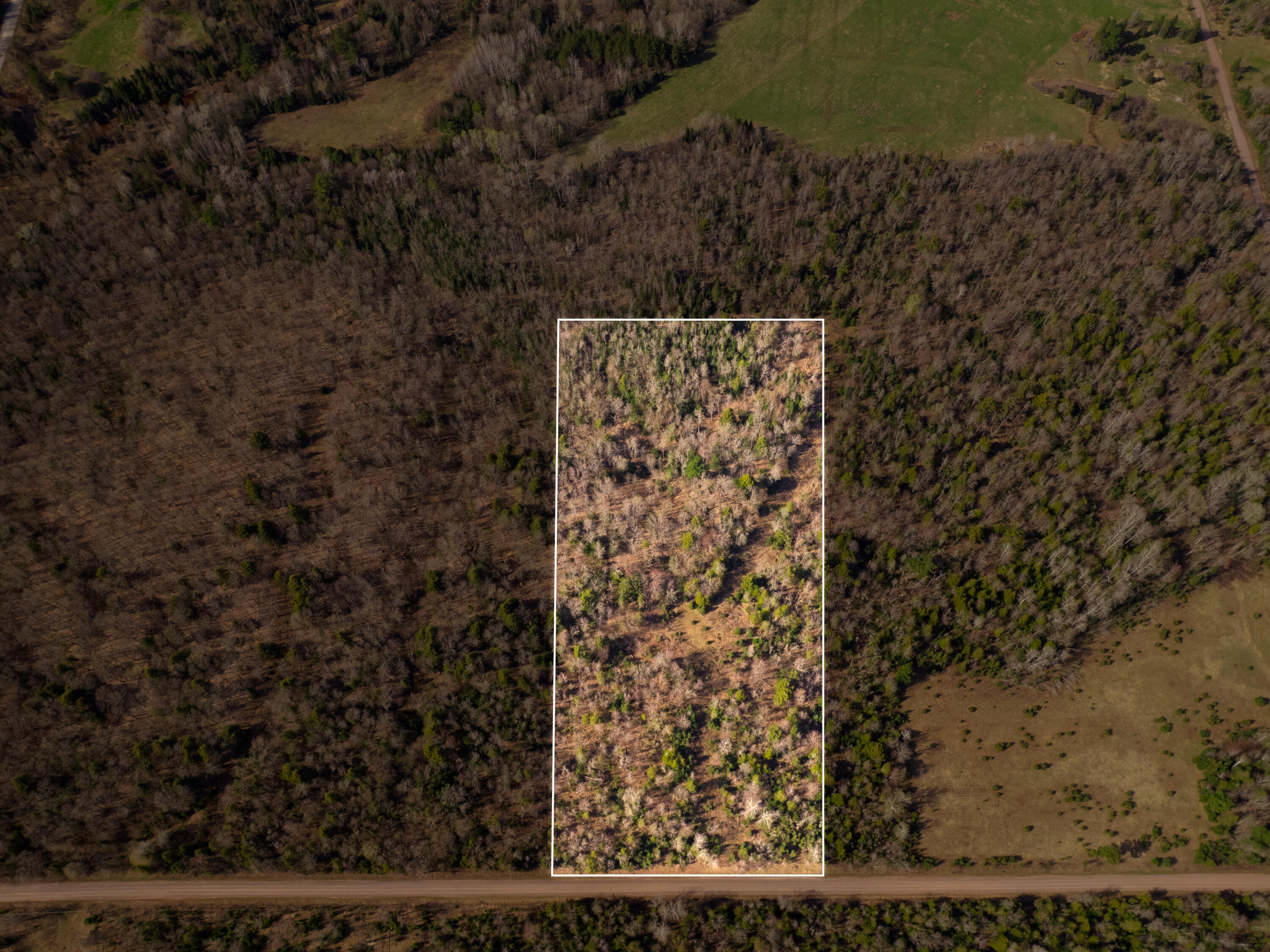 DJI_0600