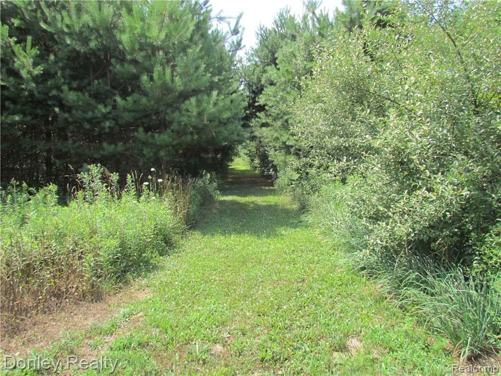 6605 Mayville Road Clifford, MI 48727 - Photo 17 of 46 6605 Mayville Road, Clifford (19).JPG