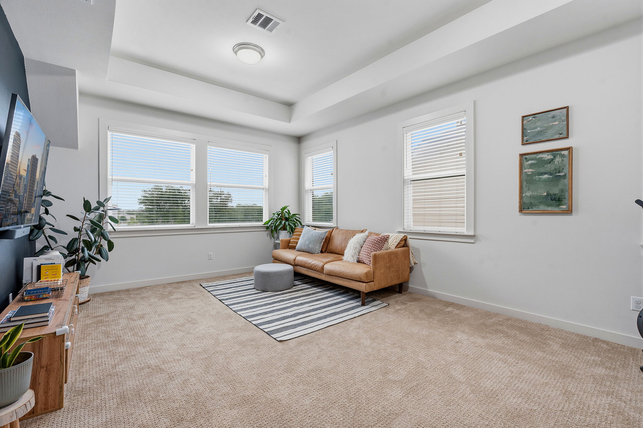 900 Old Mill Road, Unit 46 Cedar Park, TX 78613 - Photo 13 of 30 Living area featuring a raised ceiling and light colored carpet