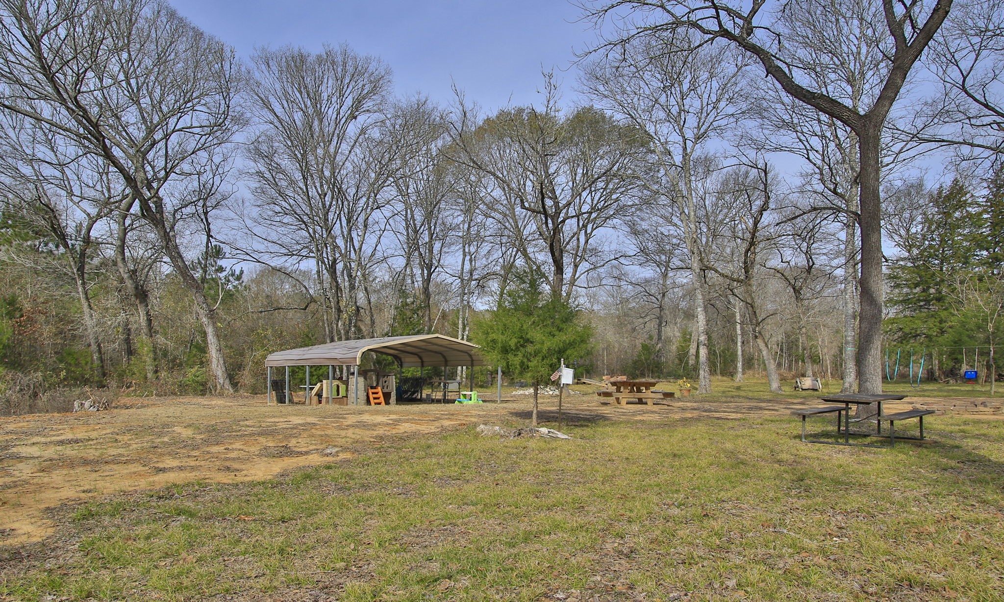 495 Pinecrest Drive Point Blank, TX 77364 - Photo 13 of 28 a view of outdoor space with trees