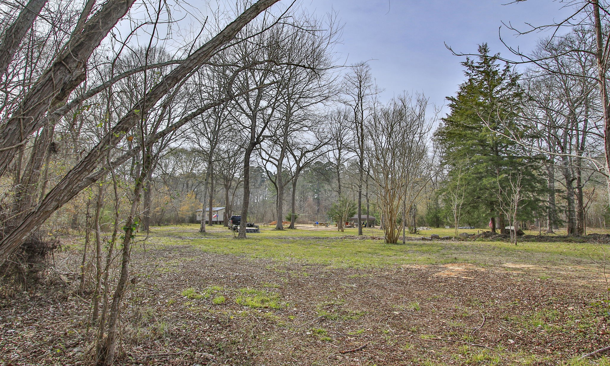 495 Pinecrest Drive Point Blank, TX 77364 - Photo 17 of 28 a backyard of trees