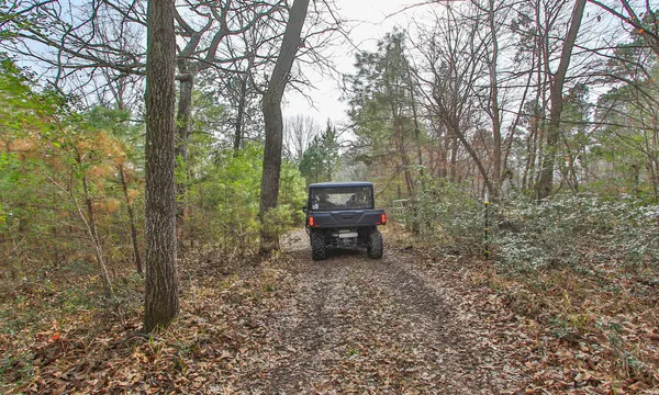 a view of a forest filled with trees