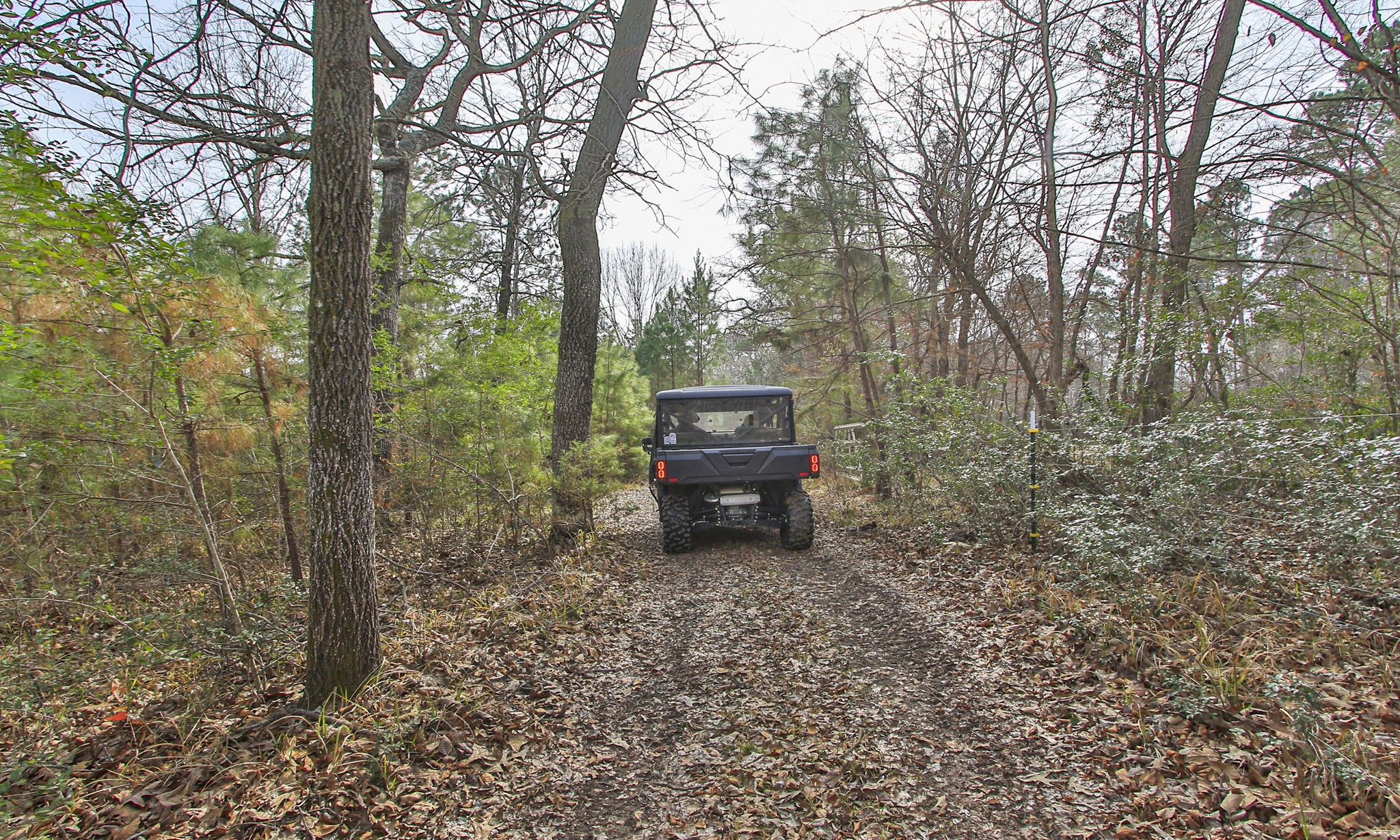 495 Pinecrest Drive Point Blank, TX 77364 - Photo 18 of 28 a green field with trees in the background