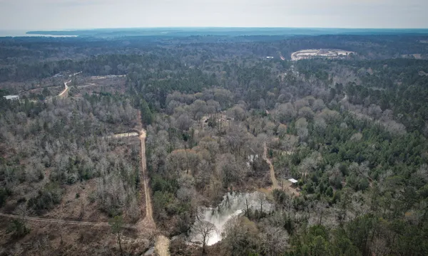 a view of a dry yard