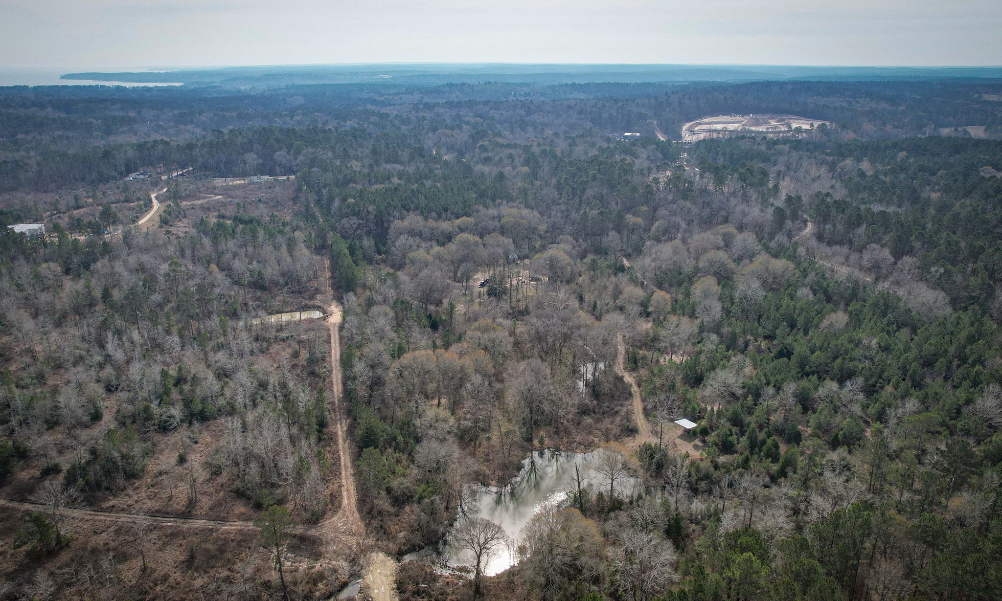 495 Pinecrest Drive Point Blank, TX 77364 - Photo 2 of 28 a view of a field