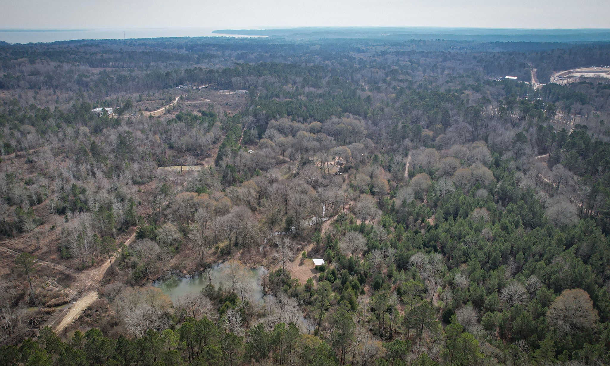 495 Pinecrest Drive Point Blank, TX 77364 - Photo 3 of 28 a view of a dry yard