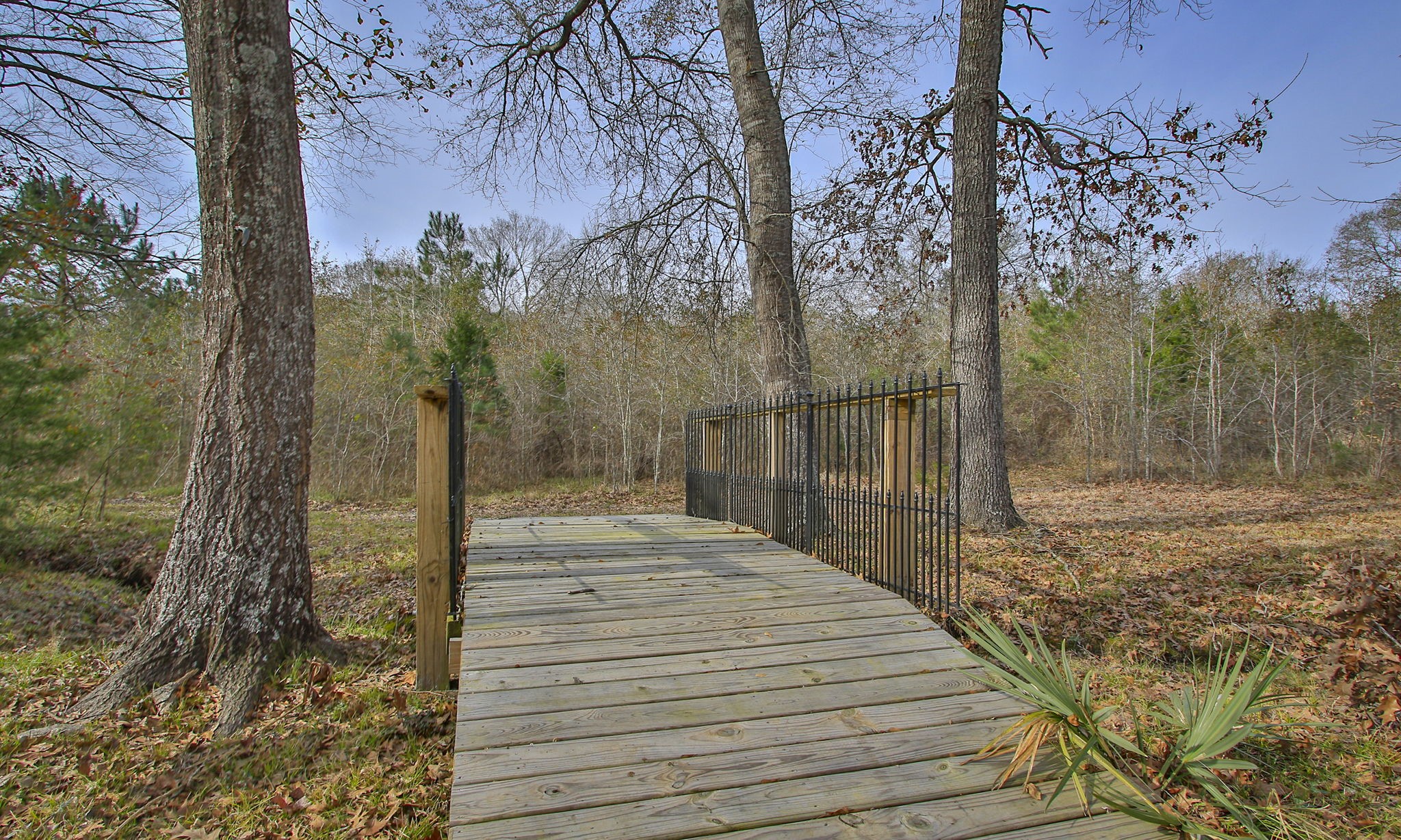 495 Pinecrest Drive Point Blank, TX 77364 - Photo 8 of 28 a view of a backyard