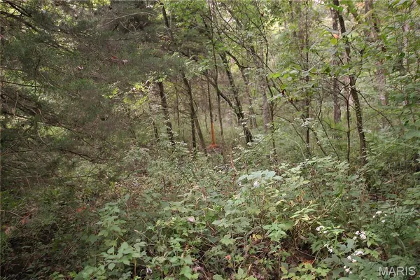 $135,000 | 4.65 Pendleton Lost Creek Road, Warrenton, MO 63383