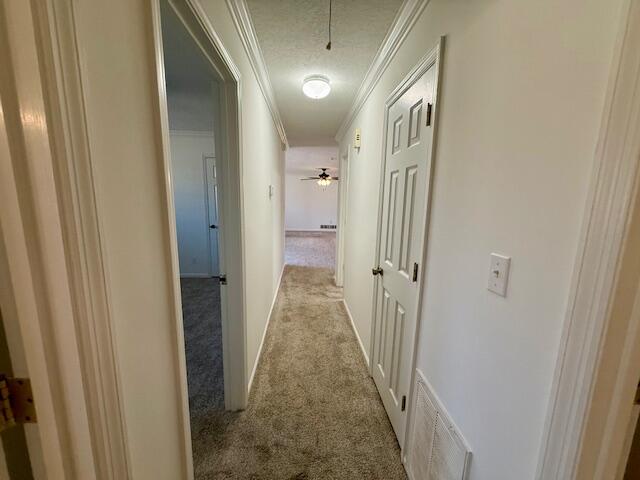 111 Terrace Road North Augusta, SC 29841 - Photo 22 of 46 IMG_4224