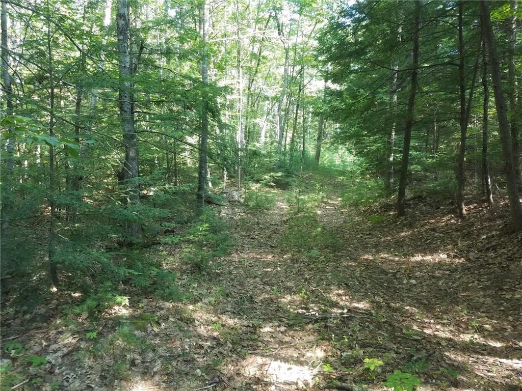 Lot 7 Bell Marsh Road York, ME 03909 - Photo 1 of 18 Photo