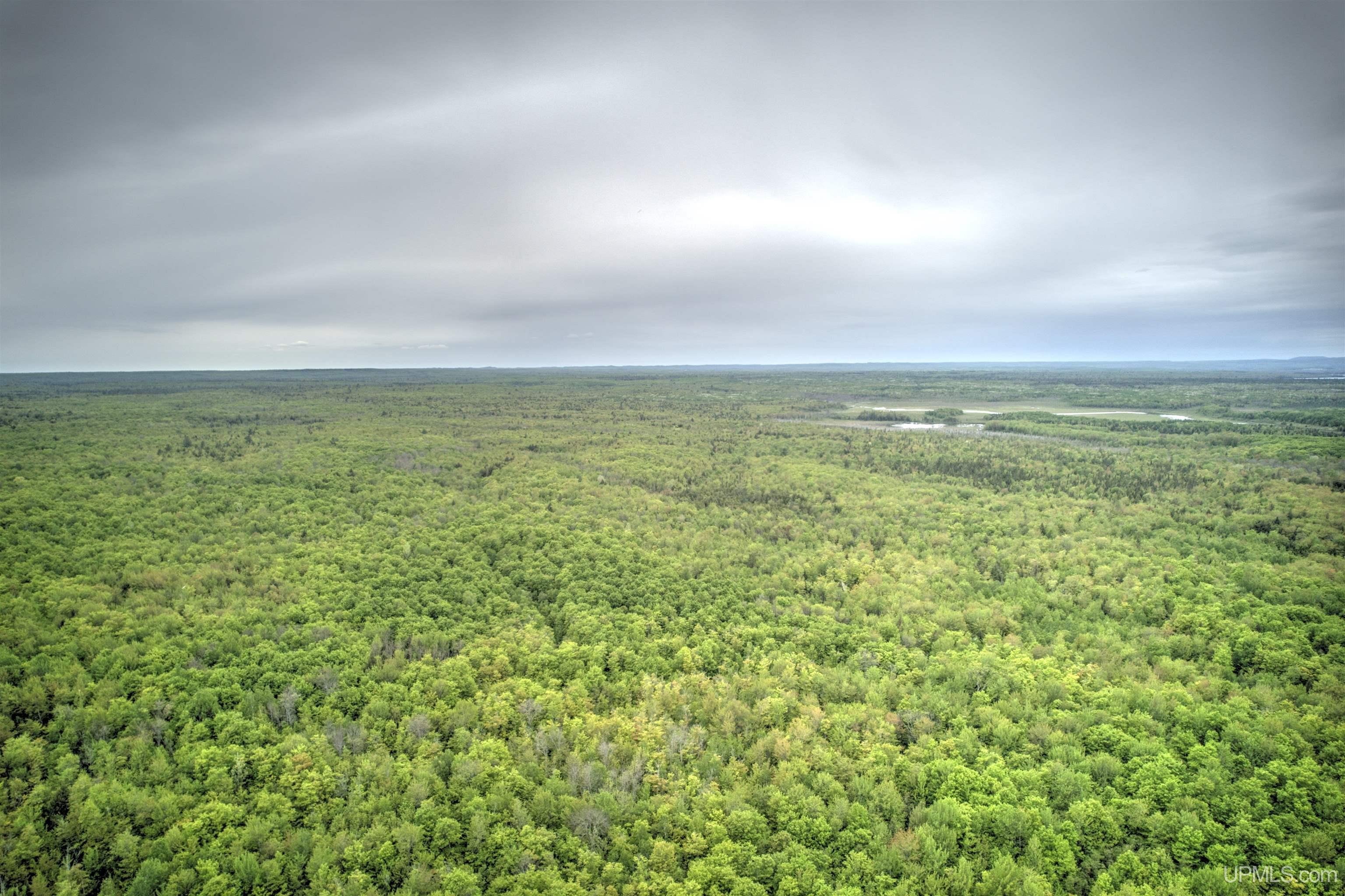Tbd Tbd Segan Road Marquette, MI 49855 - Photo 14 of 21