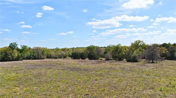 a view of a big yard