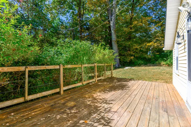 a view of backyard with green space