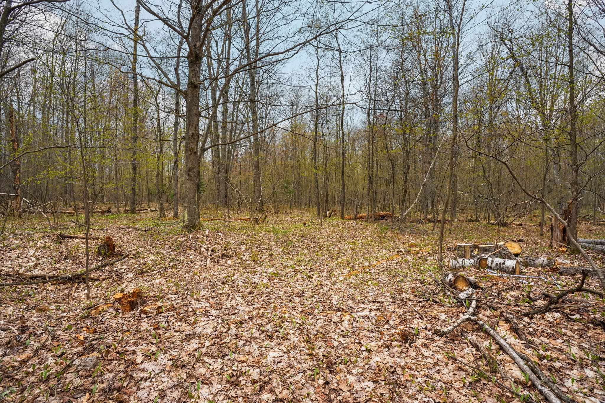 3976 Irvin Road Kingsley, MI 49649 - Photo 57 of 68