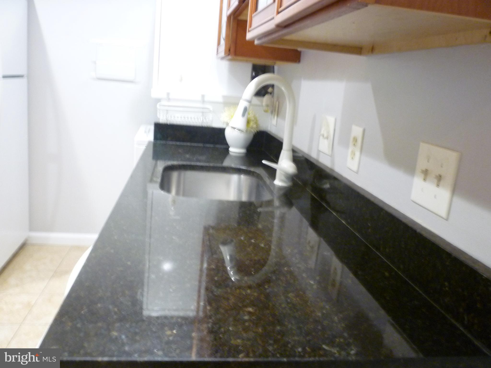 3356 Hewitt Avenue, Unit 202 Silver Spring, MD 20906 - Photo 27 of 49 Beautiful new Countertops last year
