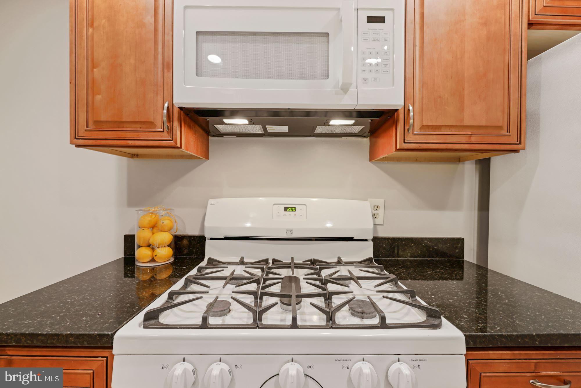 3356 Hewitt Avenue, Unit 202 Silver Spring, MD 20906 - Photo 34 of 49 Gas Cooking