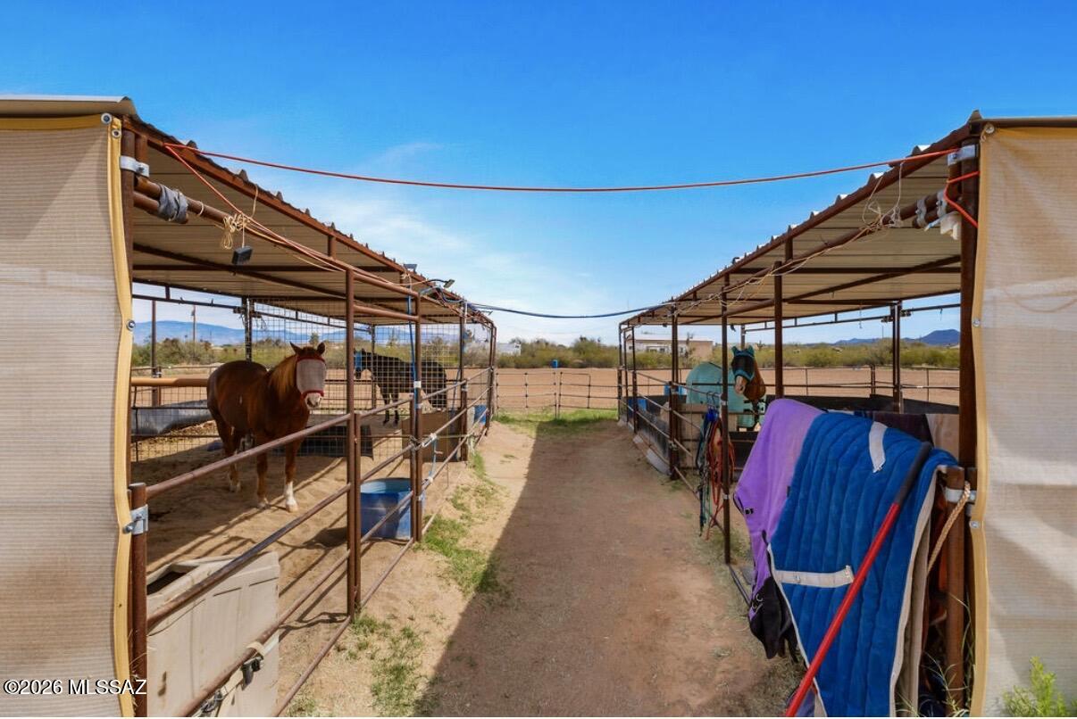Horses Love it Here!
