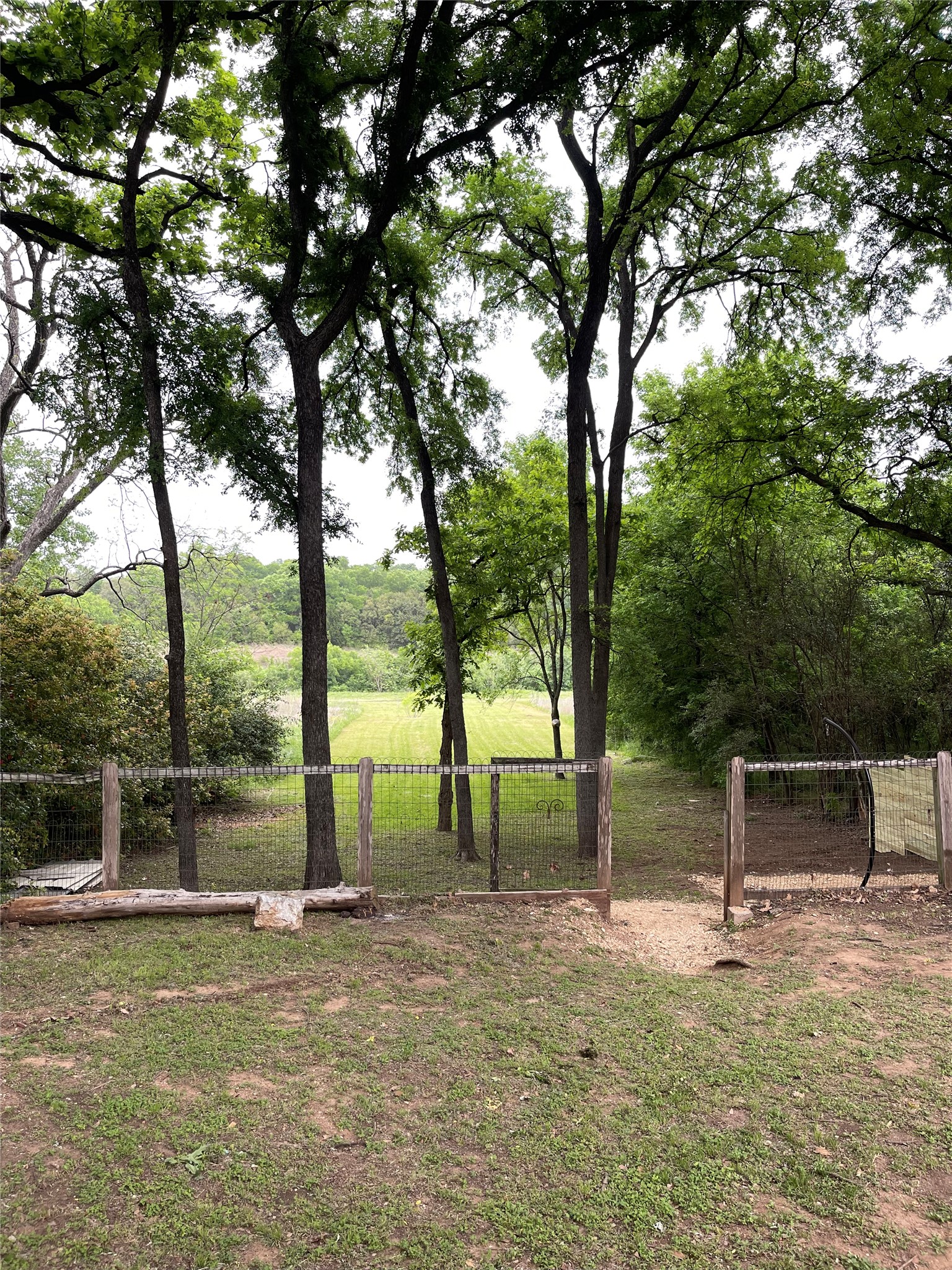 6302 Thurgood Avenue Austin, TX 78721 - Photo 1 of 31 a backyard of a house with lots of green space