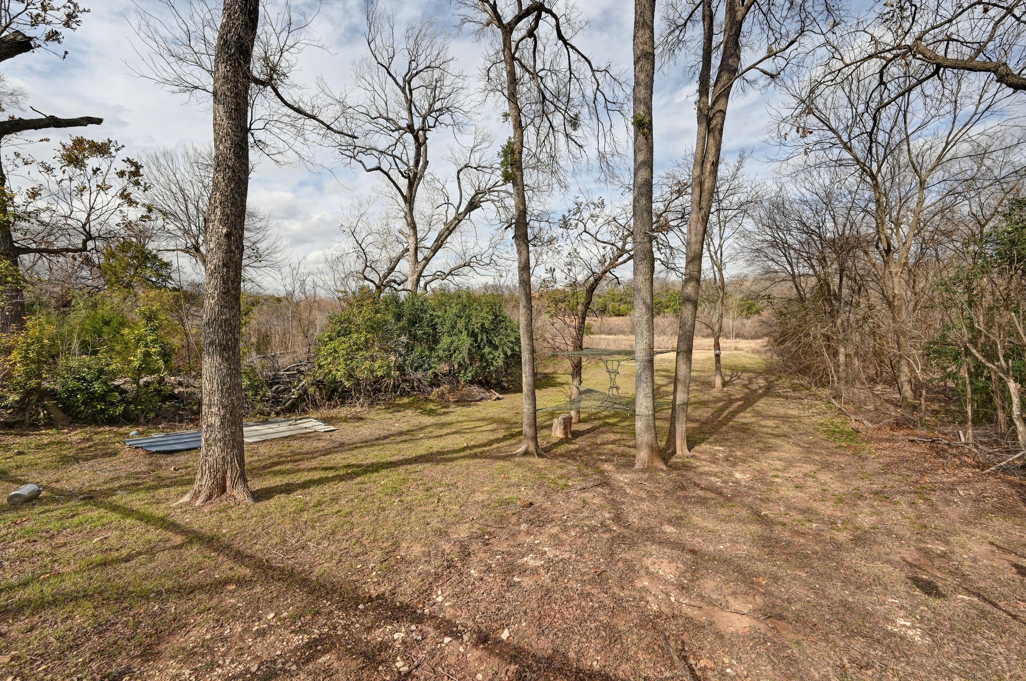6302 Thurgood Avenue Austin, TX 78721 - Photo 26 of 31 a view of empty space with large trees