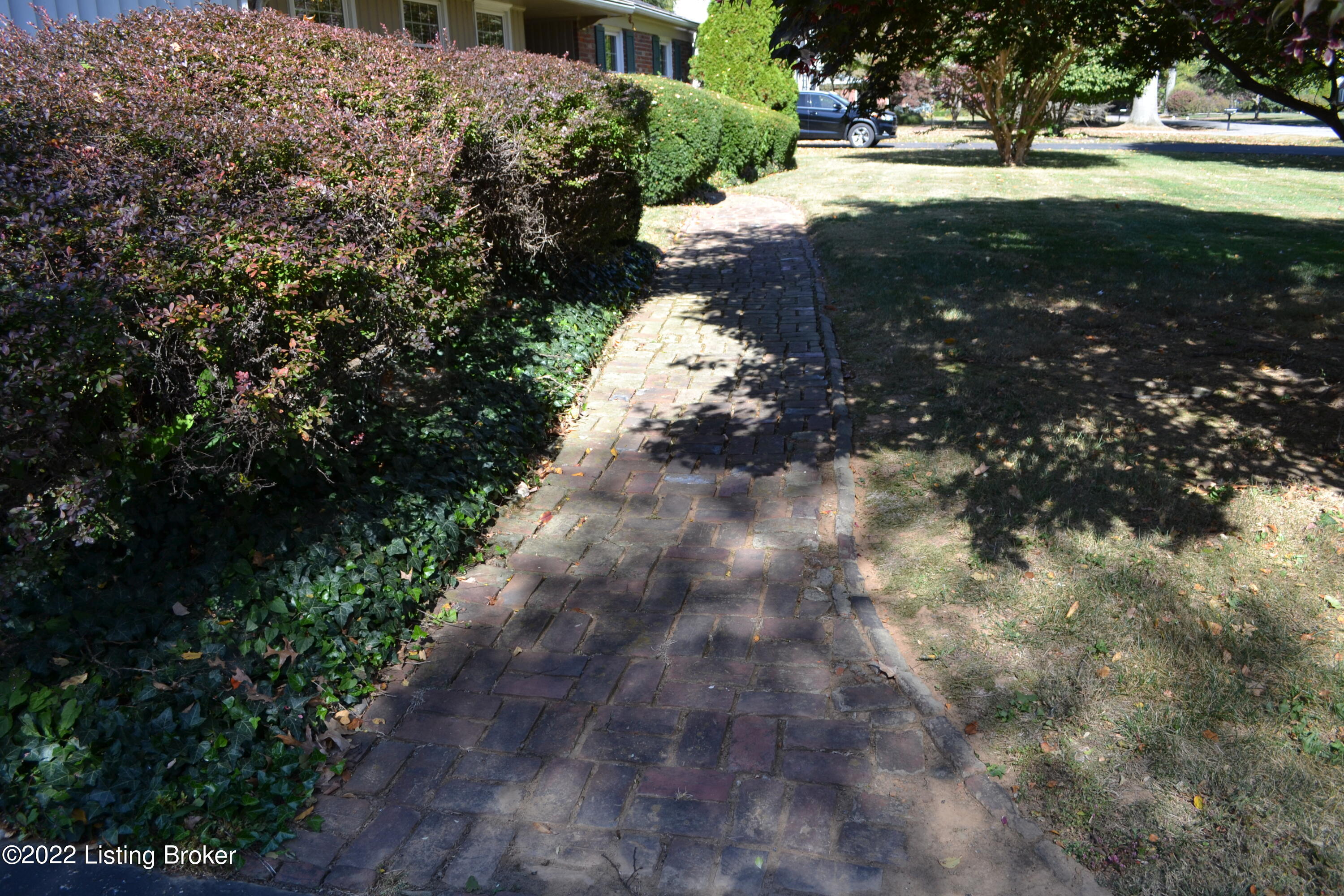 208 South Hampton Road Louisville, KY 40222 - Photo 5 of 59 DSC_0005