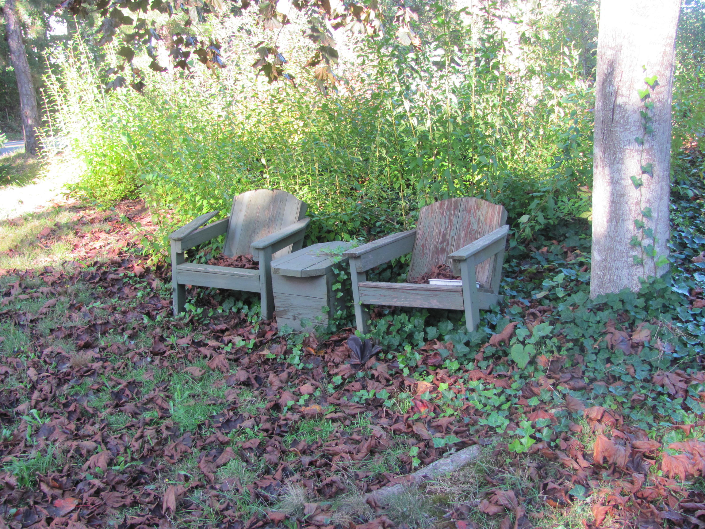466 Crowell Road North Chatham, MA 02650 - Photo 10 of 13 IMG_1896