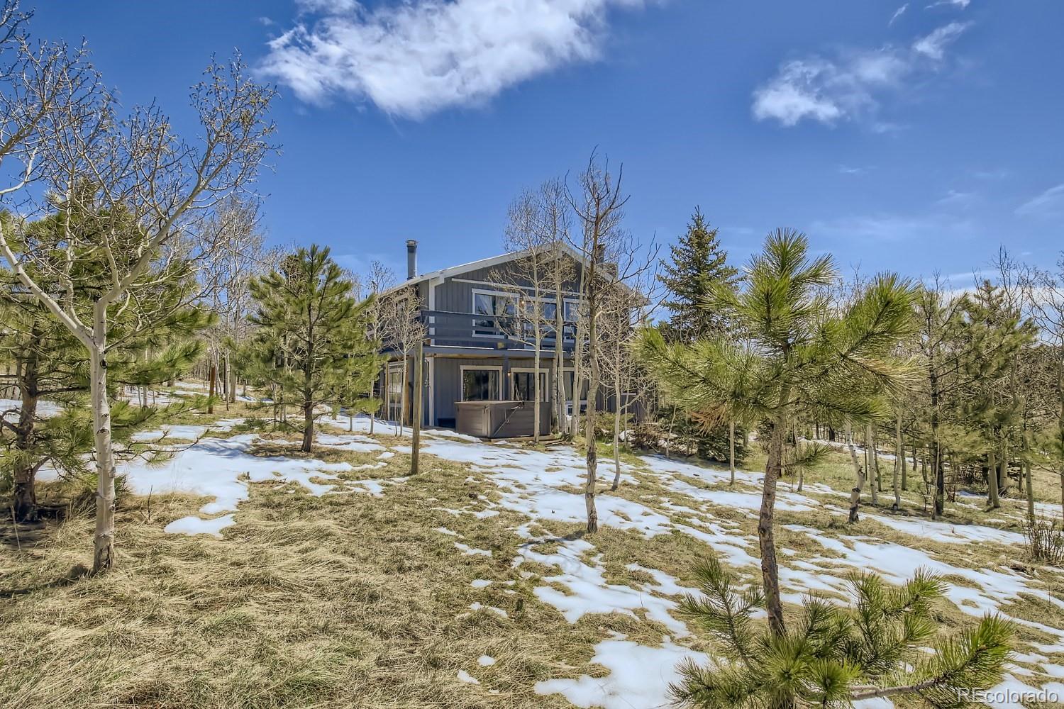 44 Bandit Lane Bailey, CO 80421 - Photo 1 of 30 a view of a house with a snow in the yard