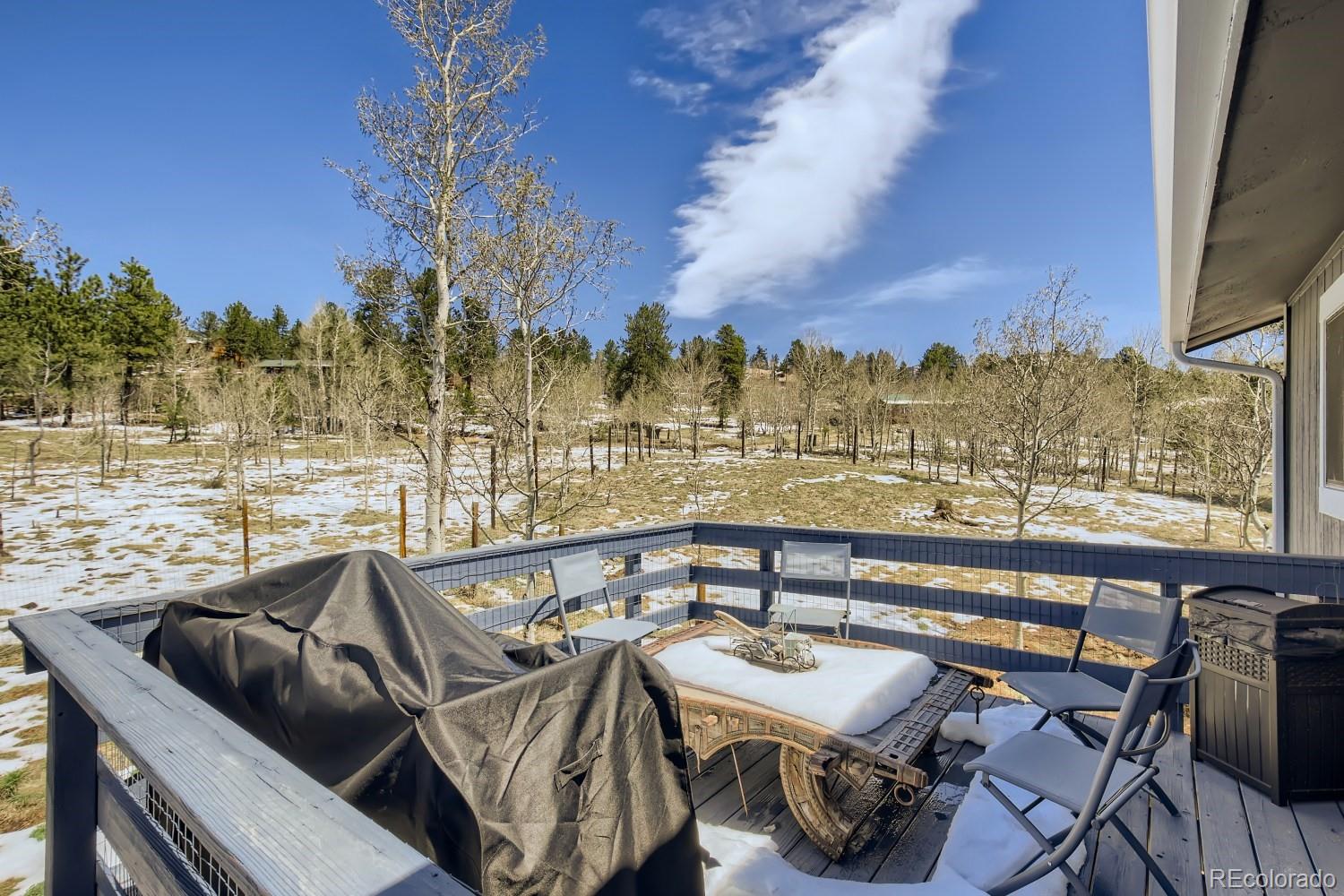 44 Bandit Lane Bailey, CO 80421 - Photo 25 of 30 a view of a terrace with furniture
