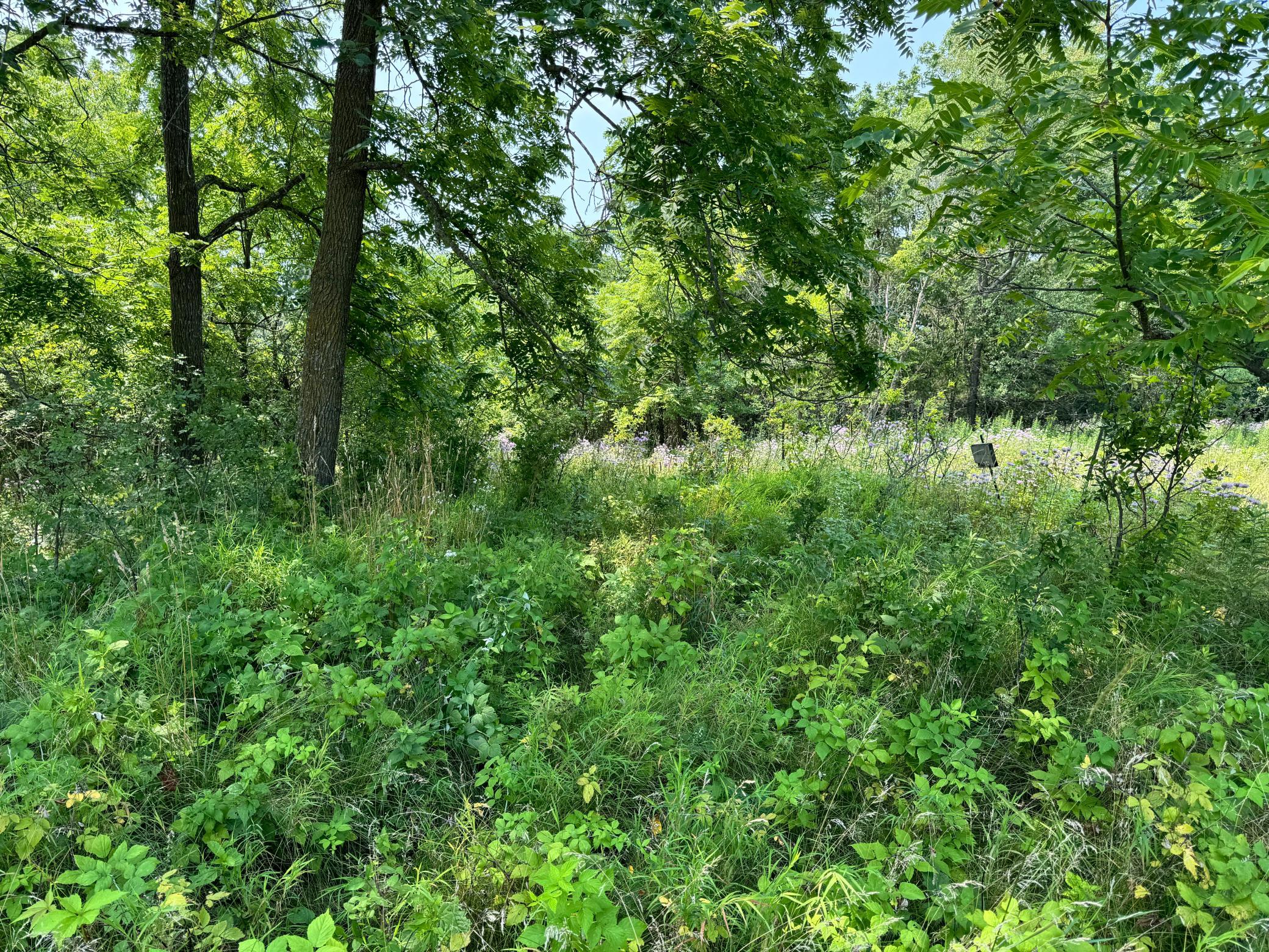 Tbd Sandy Point Court Northeast Rochester, MN 55901 - Photo 16 of 37