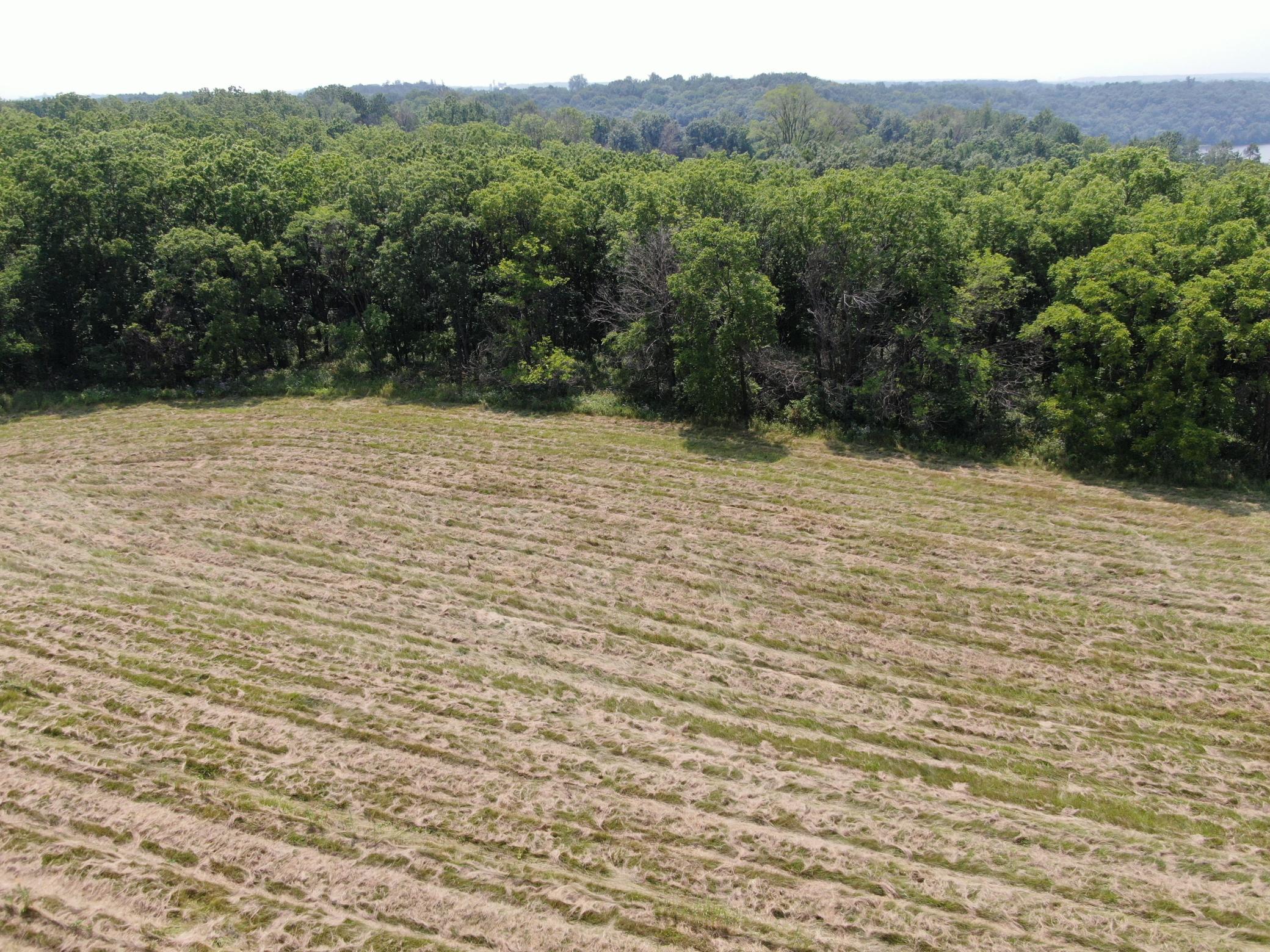 Tbd Sandy Point Court Northeast Rochester, MN 55901 - Photo 24 of 37