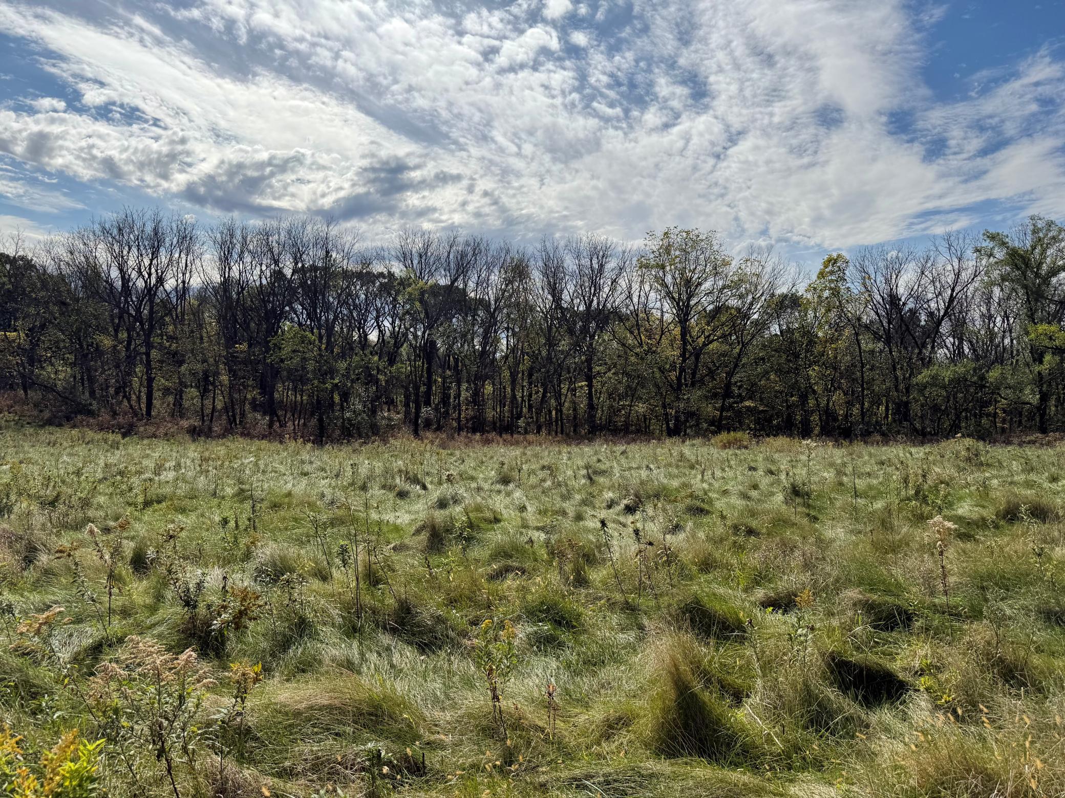 Tbd Sandy Point Court Northeast Rochester, MN 55901 - Photo 33 of 37